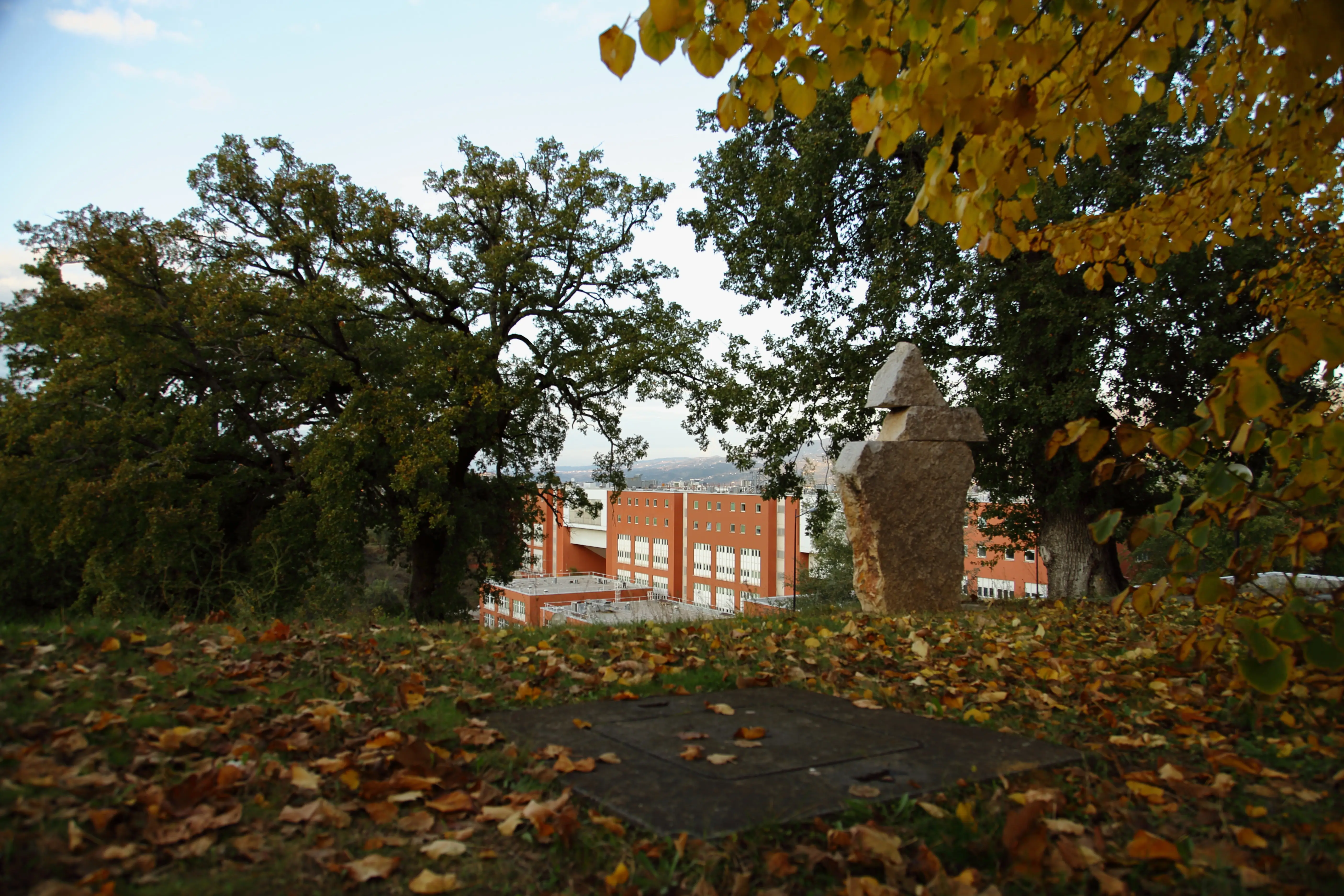 University of Calabria Walkway